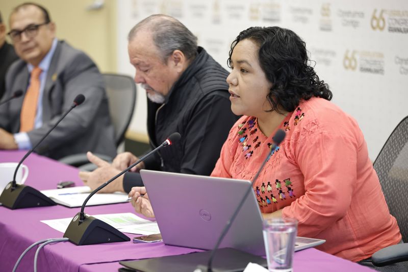 https://congreso-gto.s3.amazonaws.com/uploads/imagen/imagen/115197/pop_WhatsApp Image 2026-08-12 at 10.35.19 (1).jpeg